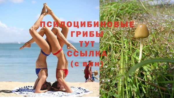 mdma Кодинск
