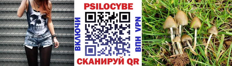 Псилоцибиновые грибы ЛСД Самара
