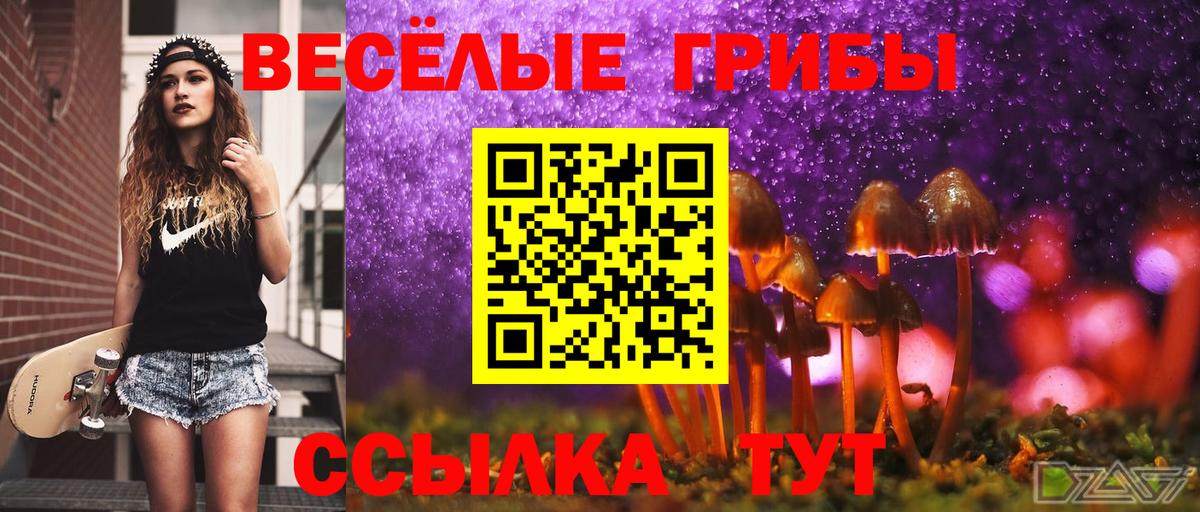 Галлюциногенные грибы прущие грибы Самара